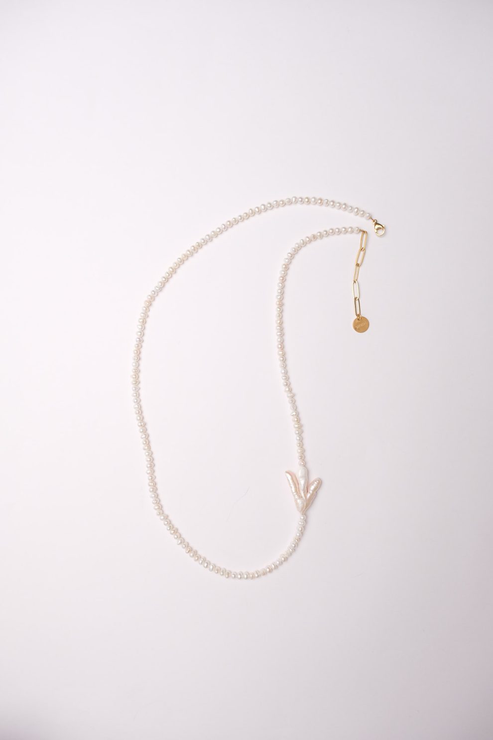 Сотуар Paw for Luck